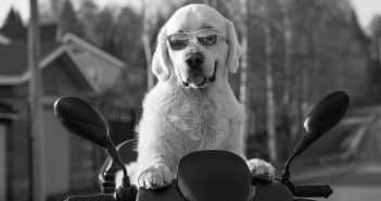 Top 5 des équipements de sécurité pour bien vous protéger en scooter